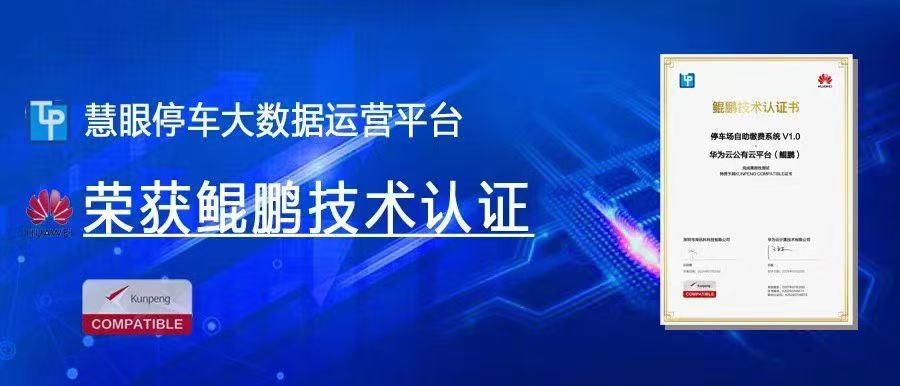 时搏(中国)实现的方式有哪些